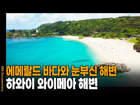 에메랄드 바다와 눈부신 백사장, 하와이를 가다 | KBS 20241009 방송