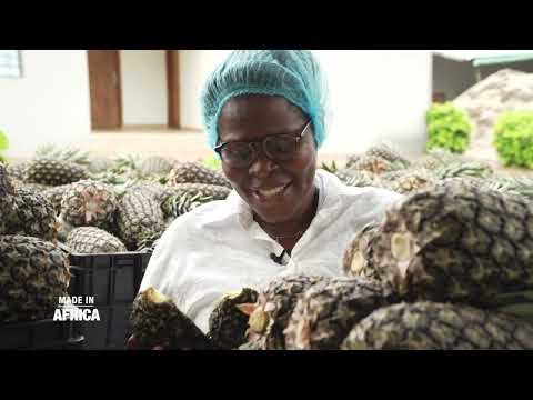 Made In Africa | Bertille Guedegbe, une vie pour l'ananas [Reportage]