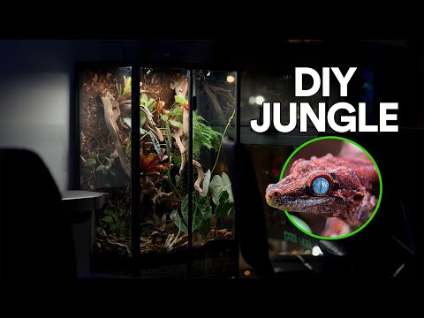 Converting an IKEA Rudsta Into a Bioactive Greenhouse Vivarium