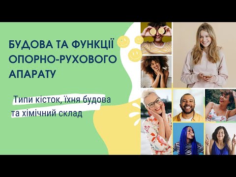 Будова та функції опорно-рухового апарату. Типи кісток, їхня будова та хімічний склад