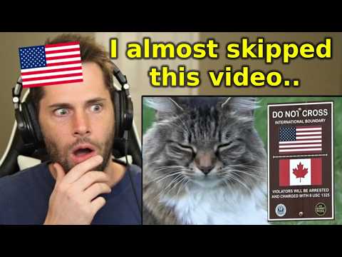 American Reacts to Cat Violating International Law Crossing US-Canada Border