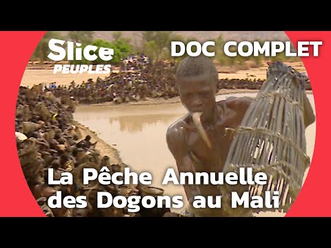 La Pêche au Silure dans l'Aridité du Pays Dogon, Mali | SLICE PEUPLES | DOC COMPLET