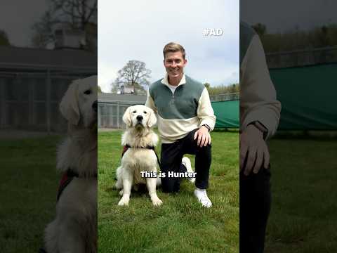 The Importance of PTSD Service Dogs #ad