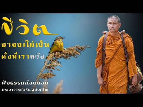 ชีวิตอาจจะไม่เป็นดั่งที่เราหวัง | ฟังธรรมก่อนนอน