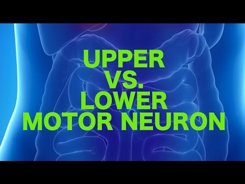 Upper vs. Lower Motor Neuron Lesions || USMLE