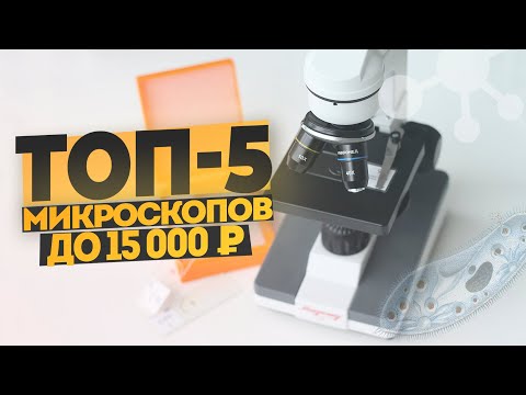 TOP-5 microscopes up to 15 thousand rubles
