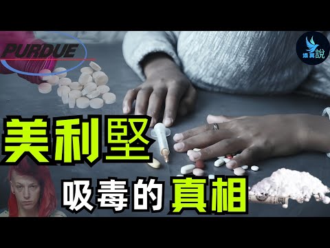 美國毒品的氾濫到底有多嚴重?普渡製藥是怎麼殘害人類的?為什麼美國不加以管制呢?