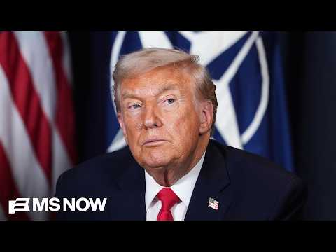 Fmr. U.S. Amb. to Russia: NATO allies appear 'fed up' and 'exhausted' with Trump
