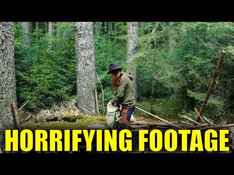 6 Real Camping Encounters Caught on Camera That’ll Haunt You