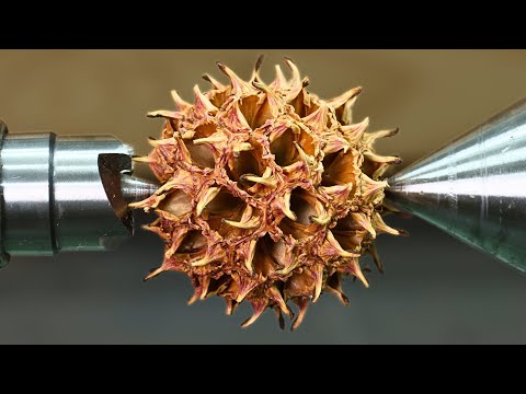 Crafting Beautiful Jar From Sweet Gum Seed Pods