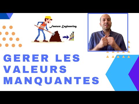 Feature Engineering: Comment gérer les valeurs manquantes d'une base de données?