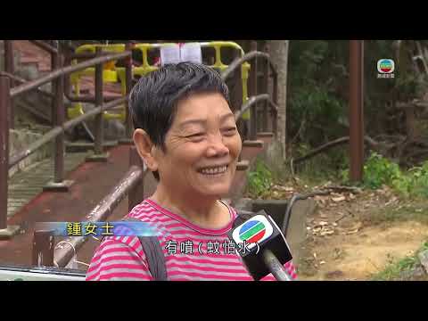 香港無綫｜7:30一小時新聞｜2025年12月10日｜