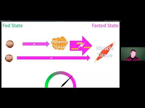 Stanford University Lecture for the Lipid Energy Model