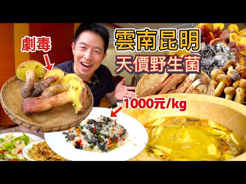 雲南昆明1000元一公斤頂級野生箘，有毒見手青吃完什麼感覺？