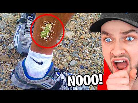 IMPOSSIBLE Try Not To Say NO Challenge!