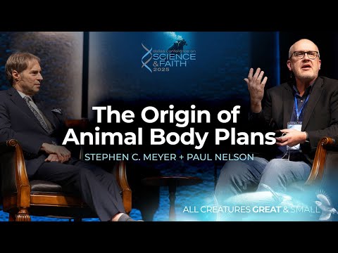 The Origin of Animal Body Plans (2025 Dallas Conference on Science & Faith)