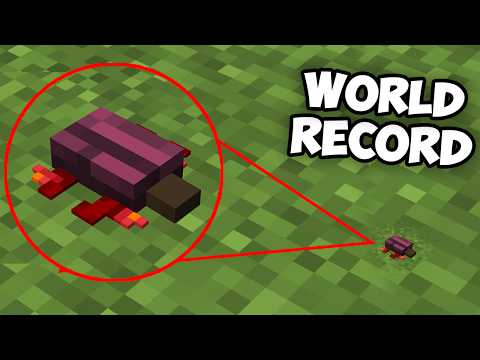 Tiny Things in Minecraft