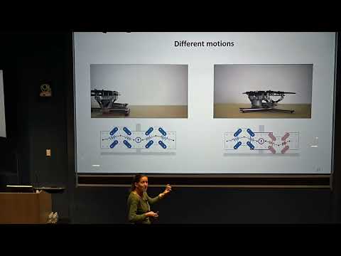 Katia Bertoldi: Programming Tasks in Nonlinear Mechanical Metamaterial...(October 24, 2025)