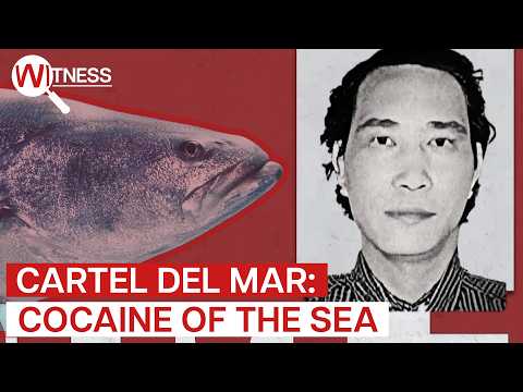 Inside the Chinese Cartel of Baja California: The Totoaba Trade