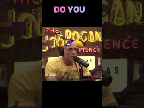 What Happens When One Tech Bro Owns Reality? Joe Rogan on Elon Musk
