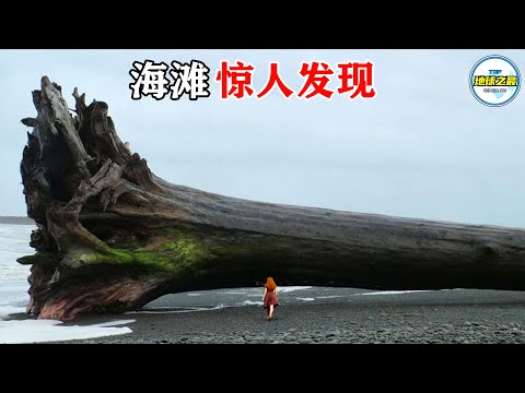 亲眼看见都不敢相信！20个最惊人的海滩发现，游客当场吓尿！丨地球之最#冷知识 #排名 #世界之最#惊人发现#出类拔萃#世界之最top#top10