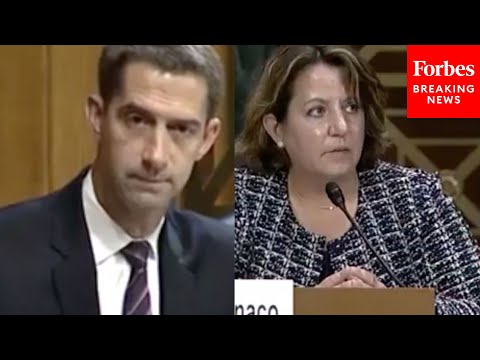 'Is It Domestic Extremism?': Tom Cotton Grills Deputy AG Over Controversial School Board Memo
