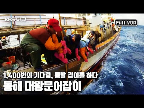 🐙대왕문어를 잡기 위해 준비를 마친 23톤급 ⛴청경호! '동해의 대물, 대왕문어를 잡아라!’ (KBS 20150103 방송)