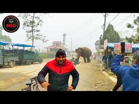 Incredible Moments Caught on Camera | Best Of Month (P18)