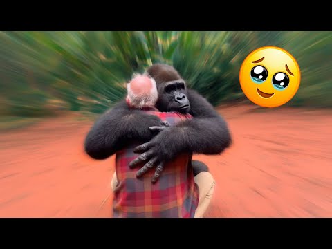 When Animals Love — No Words, No Lies, Just Truth