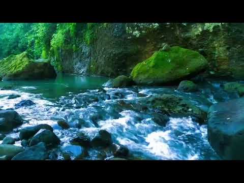 Nature Sound |  Relaxing River Sounds- Peaceful Forest River-1 Hours long Nature Video