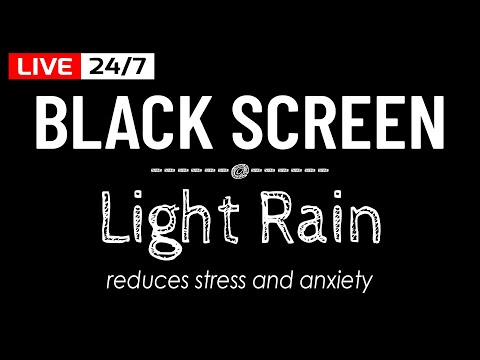 Light Rain Sounds with Black Screen for Deep Sleeping & Focus, Live Rain 24/7