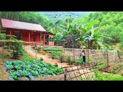 Leave the city for the forest - build a farm, garden, dig a fish pond, live off the grid.