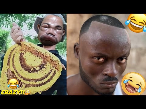 Try Not To Laugh Challenge 😂 ▶️ LEVEL 43 | Instant Regret Fails Compilation 2025