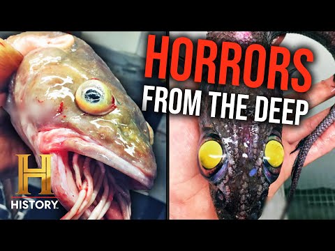 Horrifying Sea Monster Sightings | The Proof Is Out There | History