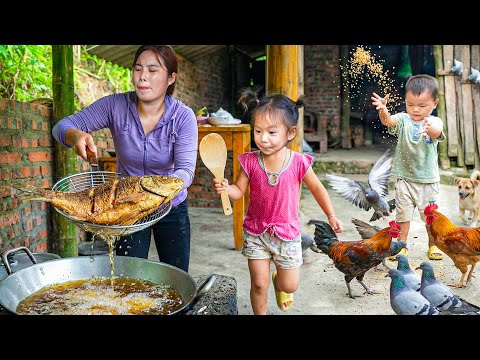 Harvesting Giant River Fish to Sell at the Market – Cooking Crispy Fried Fish for Lunch with My Kids