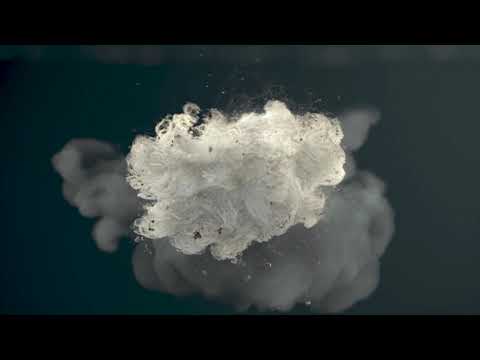 Wool Production and Processing