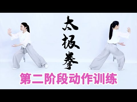 《八式太极拳》第12节 太极拳第二阶段完整动作训练(后四式)【学国学网】