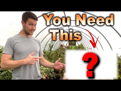 You Don't Need a Greenhouse | You Need THIS