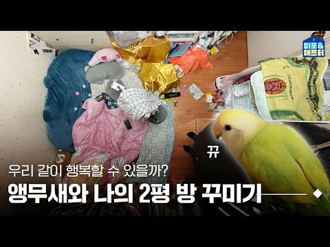 [EN/JP] Why are you here..? I live with my beloved parrot🦜 in a 6.6m² room I Before After ep.63