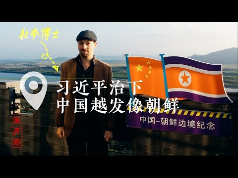 原声带·“因言获罪”的德国学者：习近平治下，中国越发像朝鲜