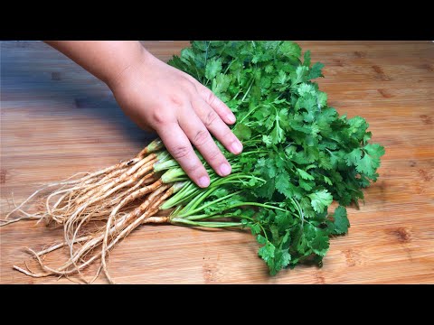 放一年的香菜，保存這麼簡單？飯店大廚教我一招，一年只用買一回