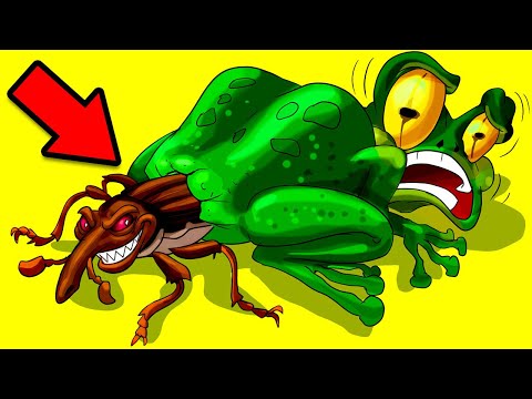 When Animals Have Weird Behaviors