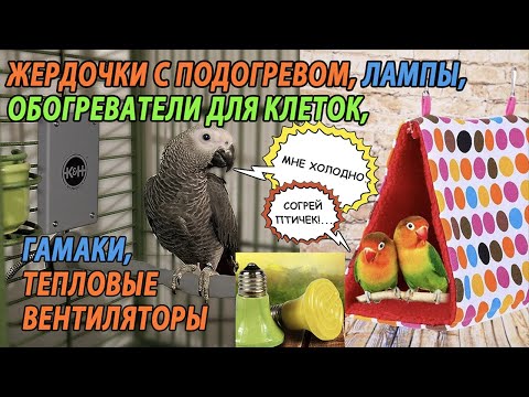 КАК СОГРЕТЬ ПОПУГАЯ ЕСЛИ В ДОМЕ ХОЛОДНО | ЖЕРДОЧКИ С ПОДОГРЕВОМ | ОБОГРЕВАТЕЛИ ДЛЯ КЛЕТКИ | ЛАМПЫ