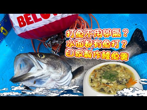 【漁人推介】香港水域 阿火帶大家出海玩徒潛，打魚一定要閉氣？水面也可以打大魚？如何自家製作鱸魚羹？Catch and Cook Seafood Chinese style Sea Bass Soup