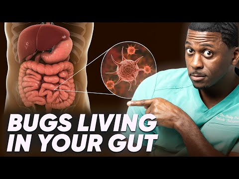 The REAL Cause of Fatigue, Bloating & Cravings