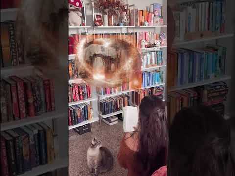 #booktok #bookish #books #whimsicalscene #whimsy #whimsicalfun #booktube #bookworm #reading #reader