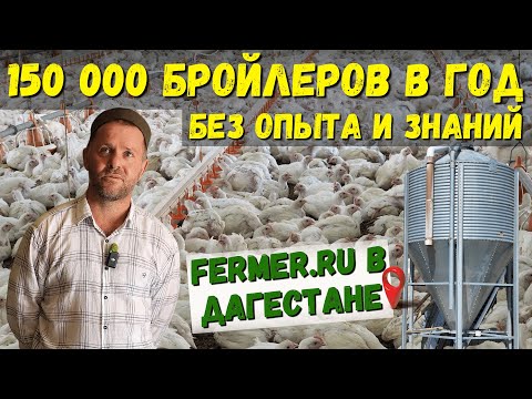 150 000 бройлеров в год на натуральных кормах за 60 дней|Оборудование птичника|Дагестанская смекалка