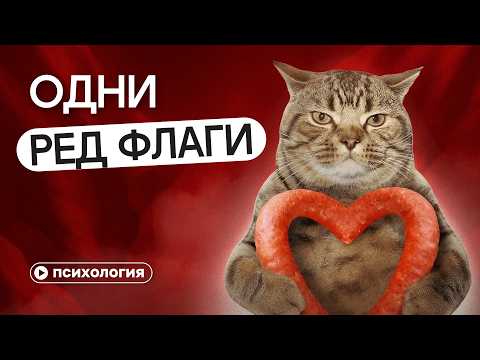 There is no more love: how psychologists and Tinder destroyed romance