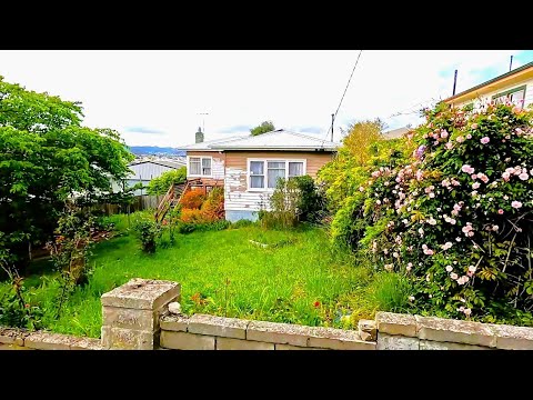 Single Mom gets Superhuman Yard Transformation!