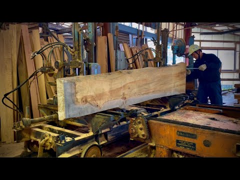 10年以上寝かせたイチョウを製材して1mのまな板を作る。